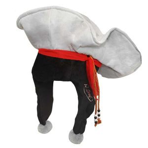 Oakland Raiders Forever Collectibles Plush Mascot Dangle Hat