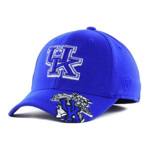 Kentucky Wildcats Top of the World NCAA Shimmering One Fit Cap