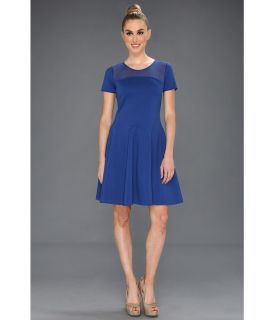 Halston Heritage S/S Fit/Flare Ponte Dress w/ Mesh Detail Womens Dress (Blue)