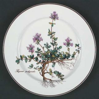 Villeroy & Boch Botanica Salad Plate, Fine China Dinnerware   Various Flowers, T