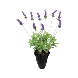 Lavender Silk Floral Arrangement And Black Vase