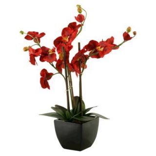 Red Orchids in Black Ceramic Planter   24 x 22