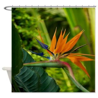  Bird Of Paradise Shower Curtain  Use code FREECART at Checkout