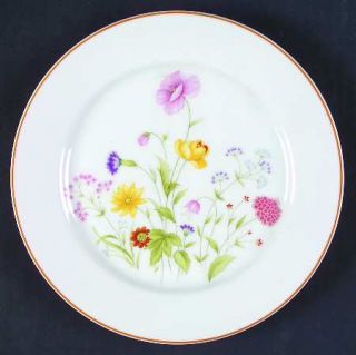 Mikasa Summer Melody Salad Plate, Fine China Dinnerware   Floral Center