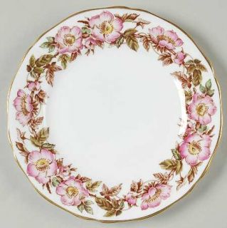 Adderley Briar Rose (Pink) Bread & Butter Plate, Fine China Dinnerware   Pink Fl