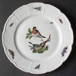 Ceralene Les Oiseaux Salad Plate, Fine China Dinnerware   Birds,Vieil Osier Shap