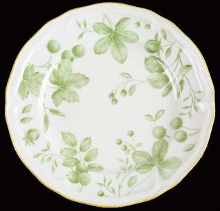 Villeroy & Boch Parkland Green Salad Plate, Fine China Dinnerware   Fine China,L