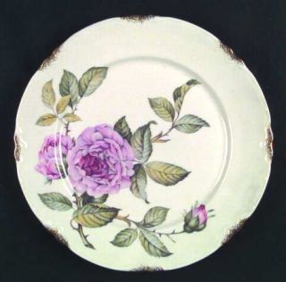 Warwick Venetian Rose Gold Dinner Plate, Fine China Dinnerware   Pink Roses On S
