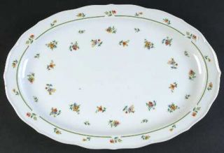 Style House Aristocrat 14 Oval Serving Platter, Fine China Dinnerware   Green B