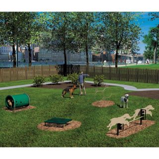 Agility Course   Novice 4 Piece Kit Natural Beige and Green   BARK NVKIT N 