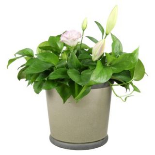 Threshold Belville Crock Planter   Grey 9