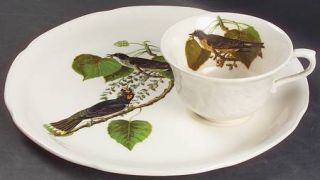 Alfred Meakin Birds Of America (White, Emboss Floral) Snack Plate & Regular Flat