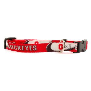 Ohio State Buckeyes Medium Dog Collar