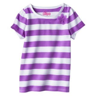Circo Infant Toddler Girls Short Sleeve Striped Tee   Vibrant Orchid 4T