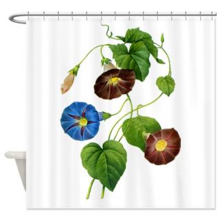  Pierre Joseph Redoute Botanical Shower Curtain  Use code FREECART at Checkout