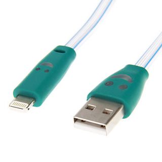 Colorful Lightning 8 Pin Male to USB 2.0 Male Charging and Data Cable for iPhone 5(0.2m)