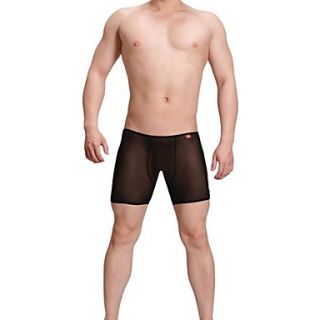 Mens Sexy Transparent Briefs