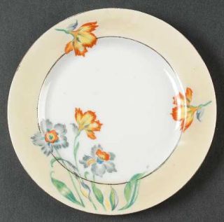 AMC Acc1 Bread & Butter Plate, Fine China Dinnerware   Gray, Rust&Blue Flowers,