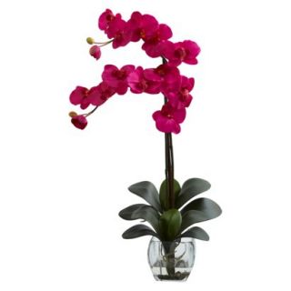Double Stem Phalaenopsis Orchid in Glass Vase 27   Fuchsia