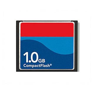 1GB OEM CompactFlash Memory Card