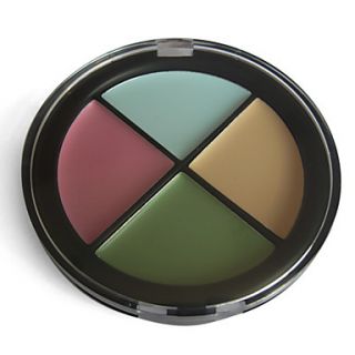 Natural Finish Concealer Makeup Palette NO.4 (4 Colors)