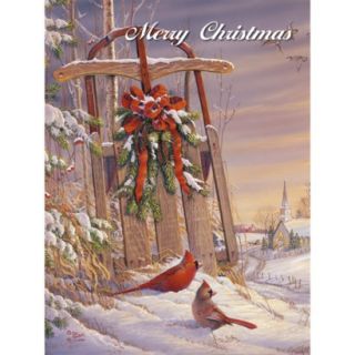 Boxed Christmas Card   Wintertime Cardinal