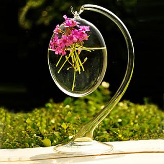 Hanging Clear Glass Vase