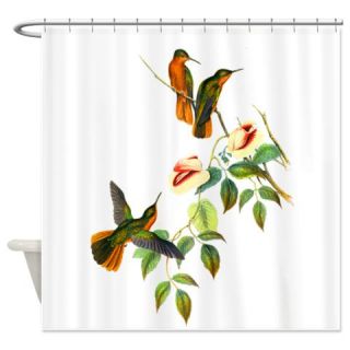  Hummingbirds Shower Curtain  Use code FREECART at Checkout