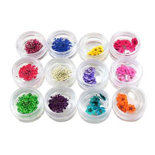 12 Color Dried Flower Nail Art Decorations