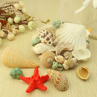 Nice Ocean Shell Wedding Decoration