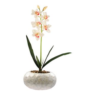 Cymbidium Silk Flower In Pearl Vase
