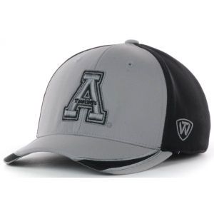 Appalachian State Mountaineers Top of the World NCAA Sifter Memory Fit Cap