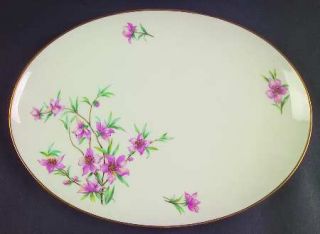 Lenox China Peachtree 13 Oval Serving Platter, Fine China Dinnerware   Pink Flo
