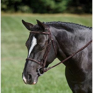 Showmark Fancy Raised Pony Hunter Bridle Chocolate S pony