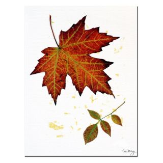 Trademark Global Inc Red Maple Wall Art by Kathie McCurdy Multicolor   KM071 