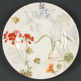 Royal Stafford Sketchbook Salad Plate, Fine China Dinnerware   Floral On White,