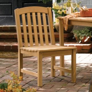 Chadwick Side Chair by Oxford Garden Multicolor   CHSC