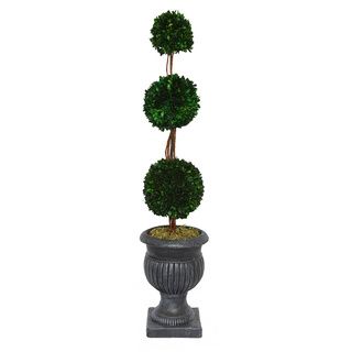 Triple Ball 44 inch With Black/ Grey Planter Natural Preserved Boxwood Arrangement