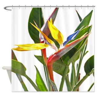  Bird of Paradise Shower Curtain  Use code FREECART at Checkout