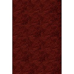 Handmade Posh Shag Brick Red Rug (3 X 5)