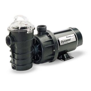 Pentair 340204 Dynamo 115V TwoSpeed AboveGround Pool Pump, 1.0 HP Without Cord