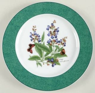 Royal Worcester Worcester Herbs Green Trim Accent Dinner Plate, Fine China Dinne