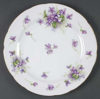 Rossetti Spring Violets Salad Plate, Fine China Dinnerware   Purple Violets, Occ