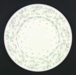 Villeroy & Boch Fleurosa Dinner Plate, Fine China Dinnerware   Heinrich, Pink,Gr