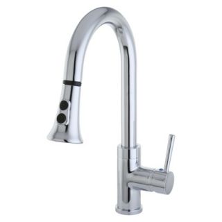 Gourmetier Chrome Single Handle Faucet with Pull Down Spout