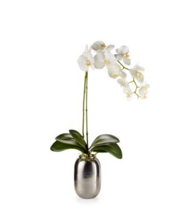 Faux Floral Orchid & Vase Arrangement, White