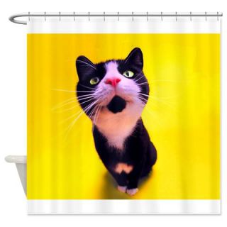  cat Shower Curtain  Use code FREECART at Checkout