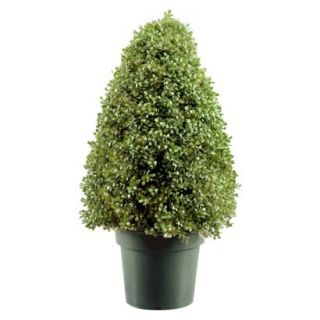 30 Boxwood Tree w/ Green Pot