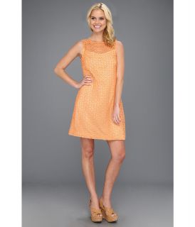 Muse Lace Shift Dress Womens Dress (Orange)