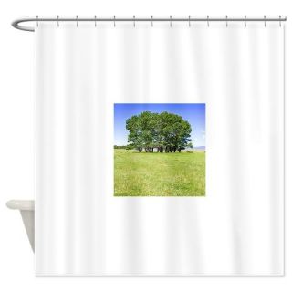  Trees in open field Shower Curtain  Use code FREECART at Checkout